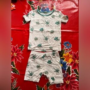 Copy Kyte Baby Succulents pajama set 2T